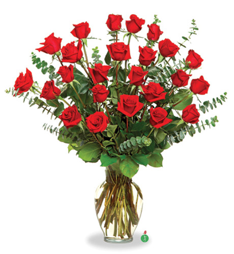 Two Dozen Red Roses Two Dozen Red Roses