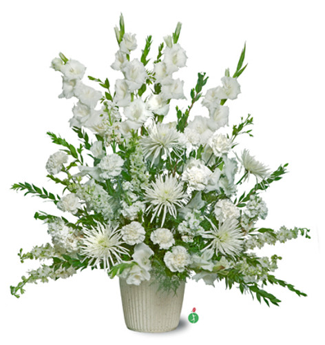 Pure Whites Pure Whites